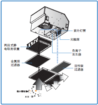 15177557428624.png 1.png